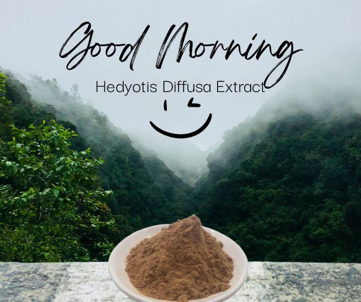 Hedyotis Diffusa Extract