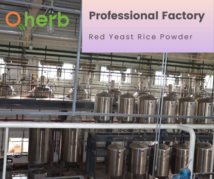 Red yeast rice powder Factory