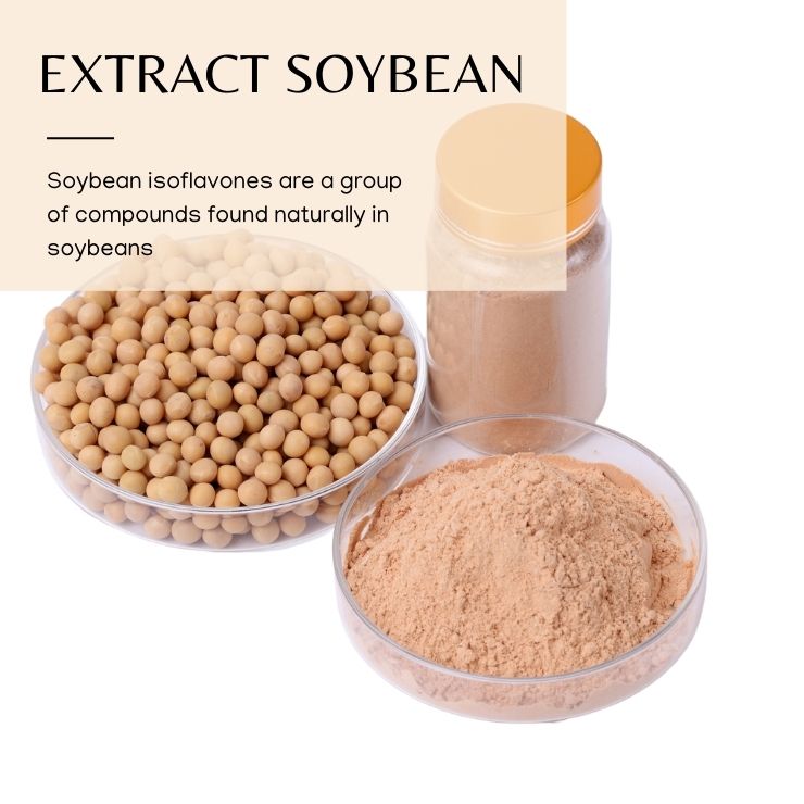 Soybean extract powder