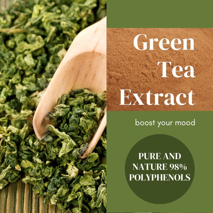 Green Tea Extract 98% Polyphenols