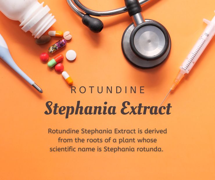 Rotundine Stephania Extract