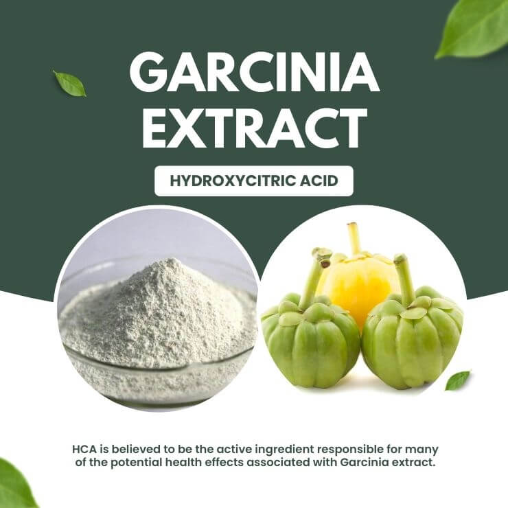 Garcinia Extract