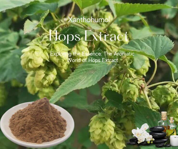 Hops Extract