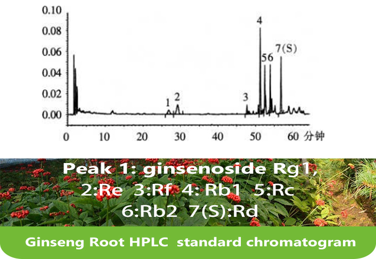 Ginseng Root Total Saponins