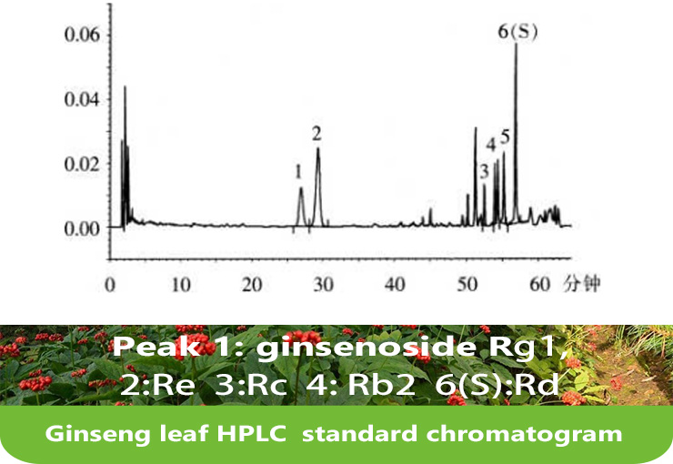 Ginseng Stems and Leaves Total Saponins