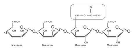 konjac glucomannan